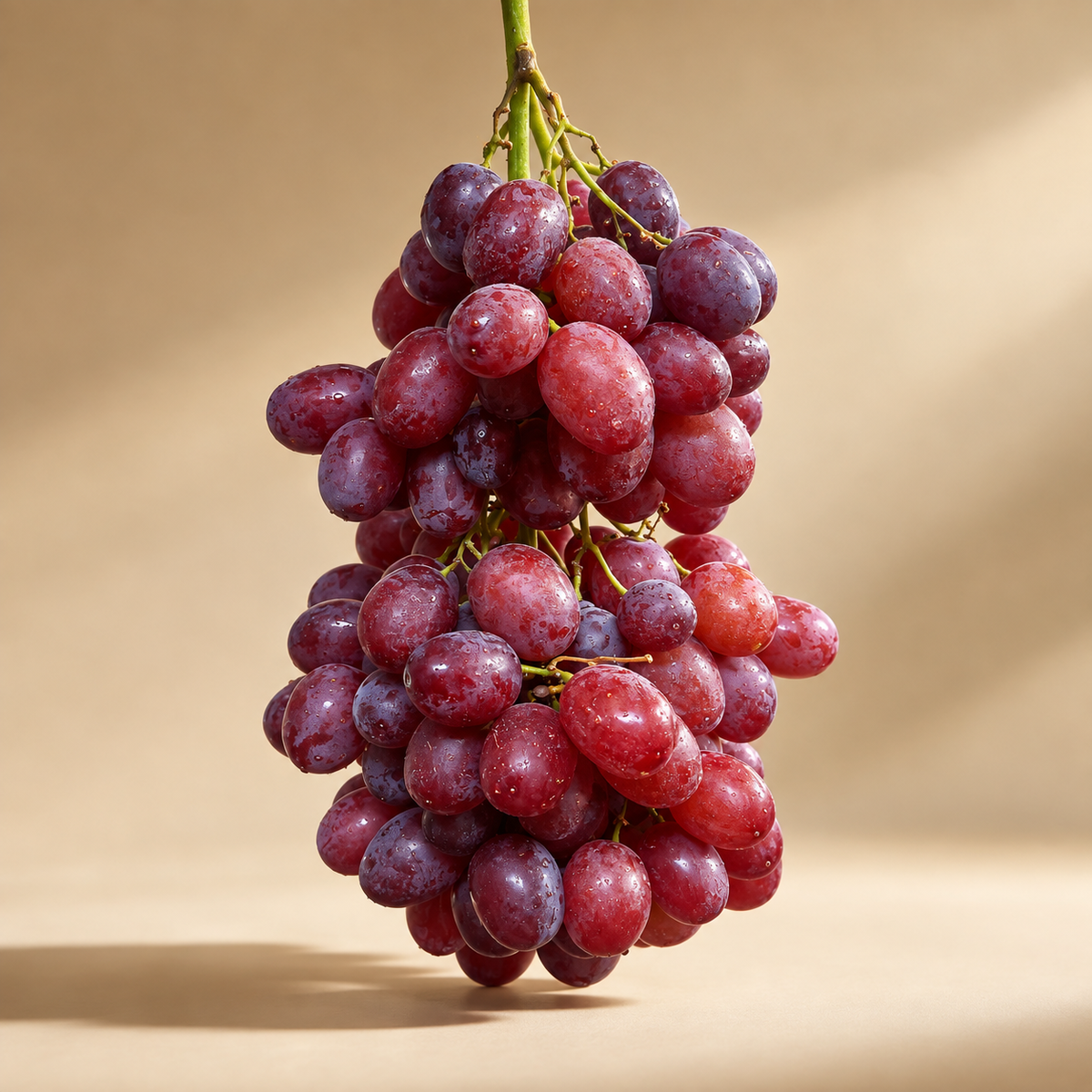 Lebanese Crimson Grapes|عنب كريمسون لبناني