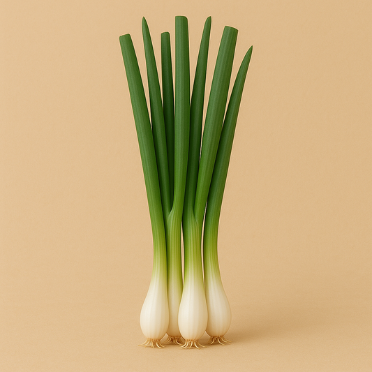 Green Onion|بصـل اخـضر (1Pack)