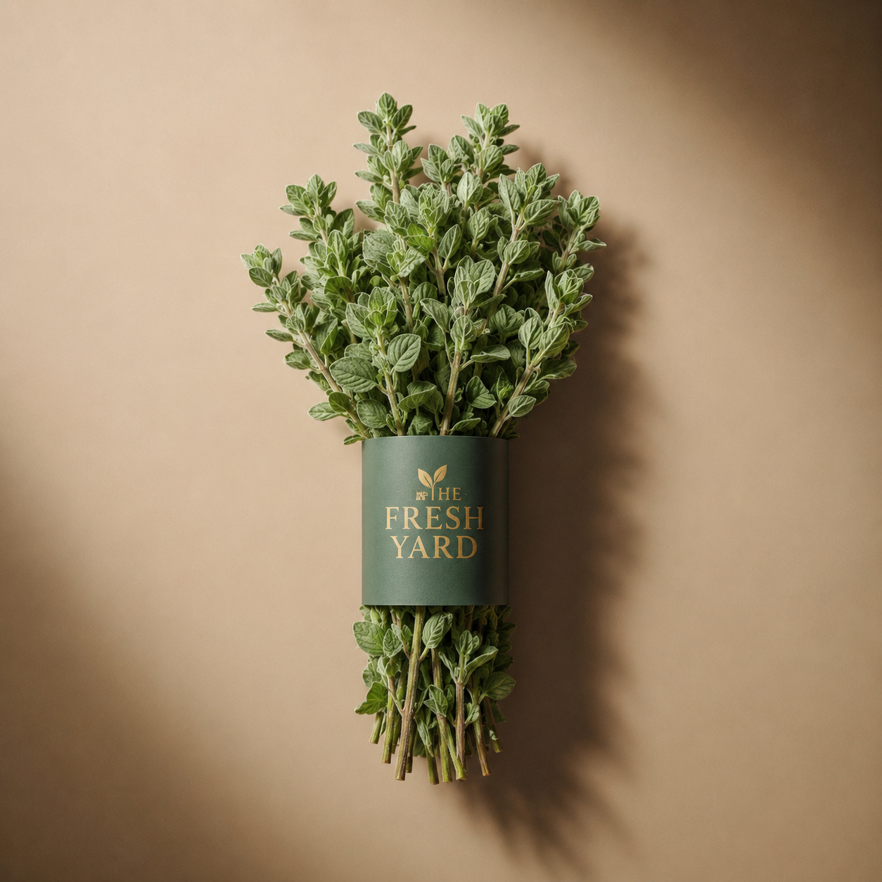 Spain Fresh Oregano
