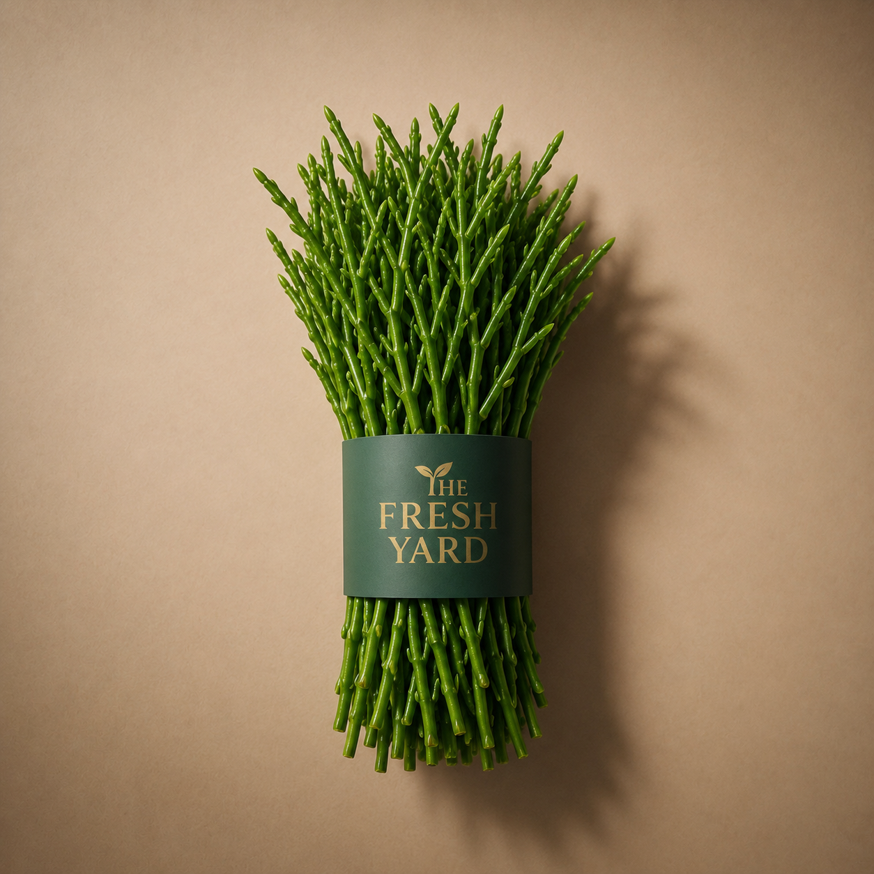 Thailand Sea Asparagus Samphire