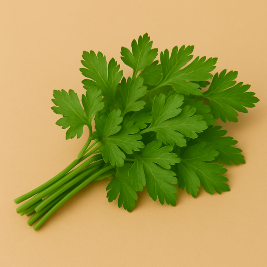 Parsely|بـقدونـس (1Pack)