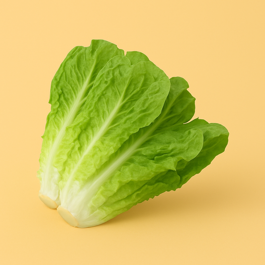 Lettuce|خـس (1Pack)