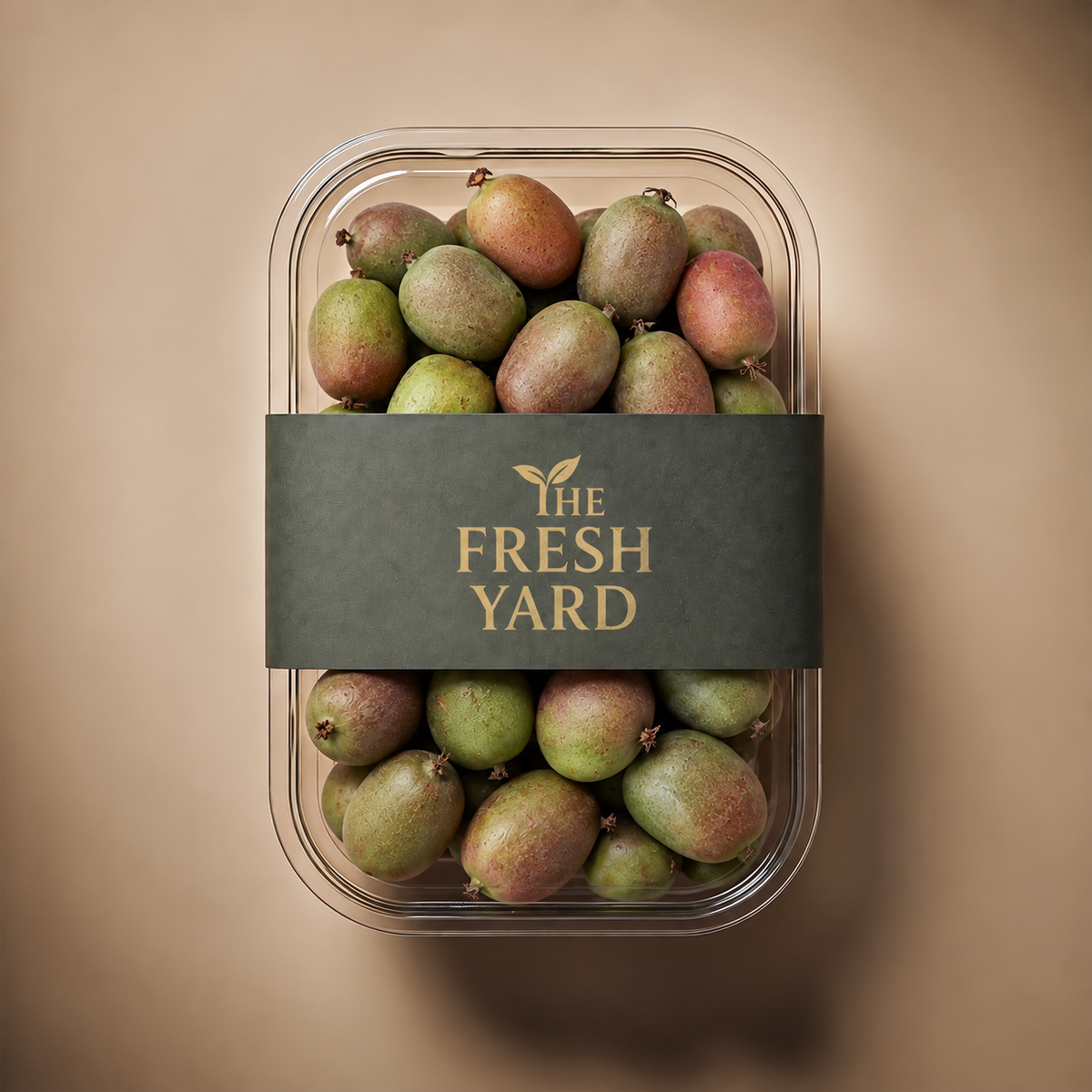 Holland Kiwi Berry|كيوي توت هولاندي