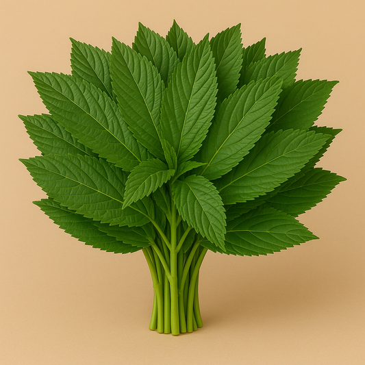 Green Mallow|مـلوخـية (1Pack)