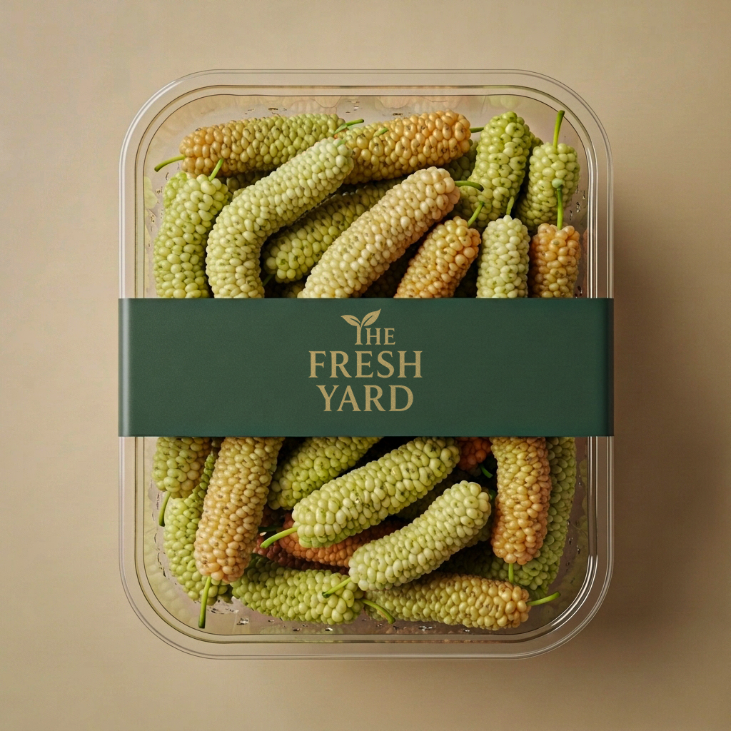 White Mulberry|توت عماني