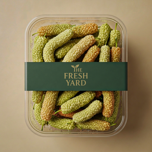 White Mulberry|توت عماني
