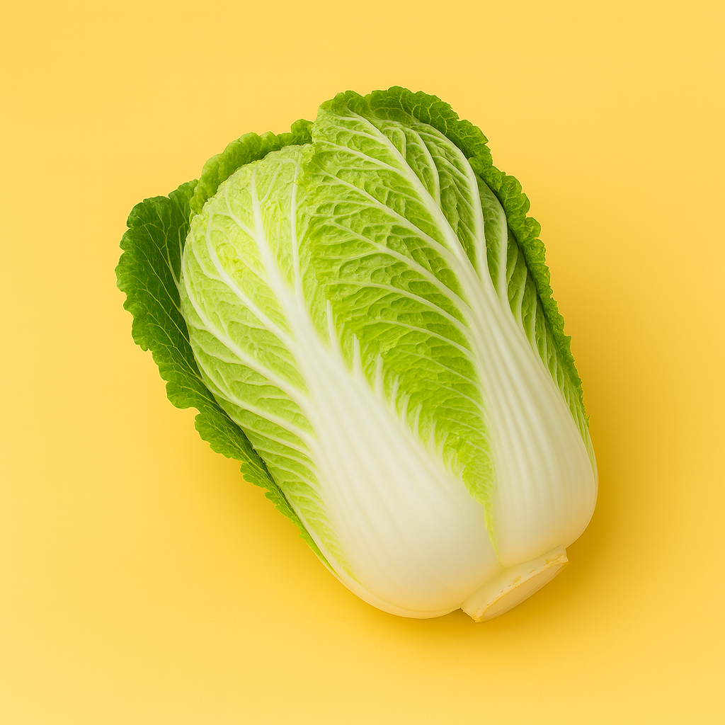 Chinese Cabbage|خـس صـيني