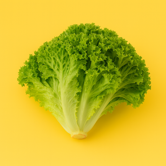 Lollo Bionda Lettuce (1PC)