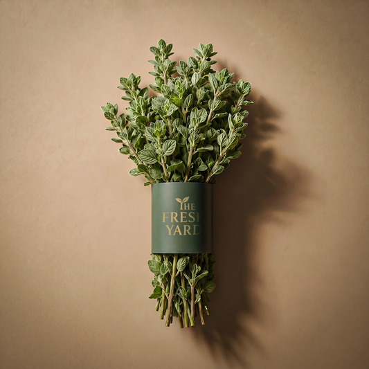 Spain Fresh Oregano