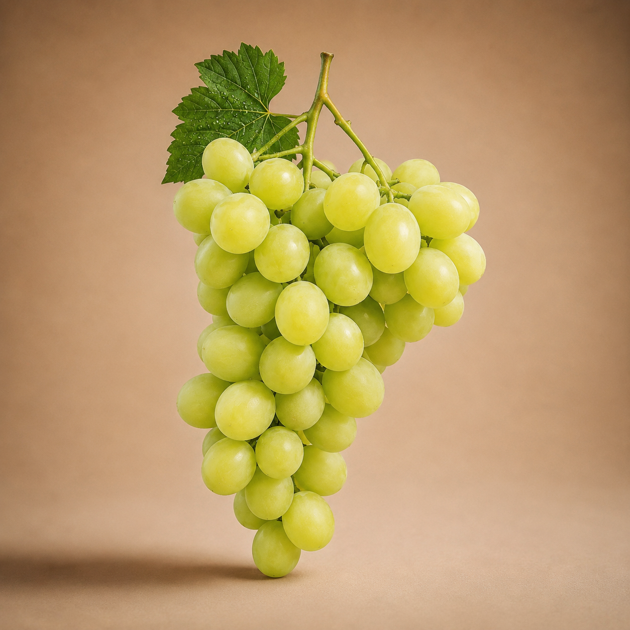 Cotton Candy Grapes|عنب بطعم غزل البنات