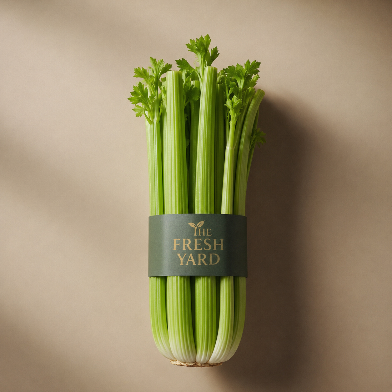France Celery Sticks (1Pack)