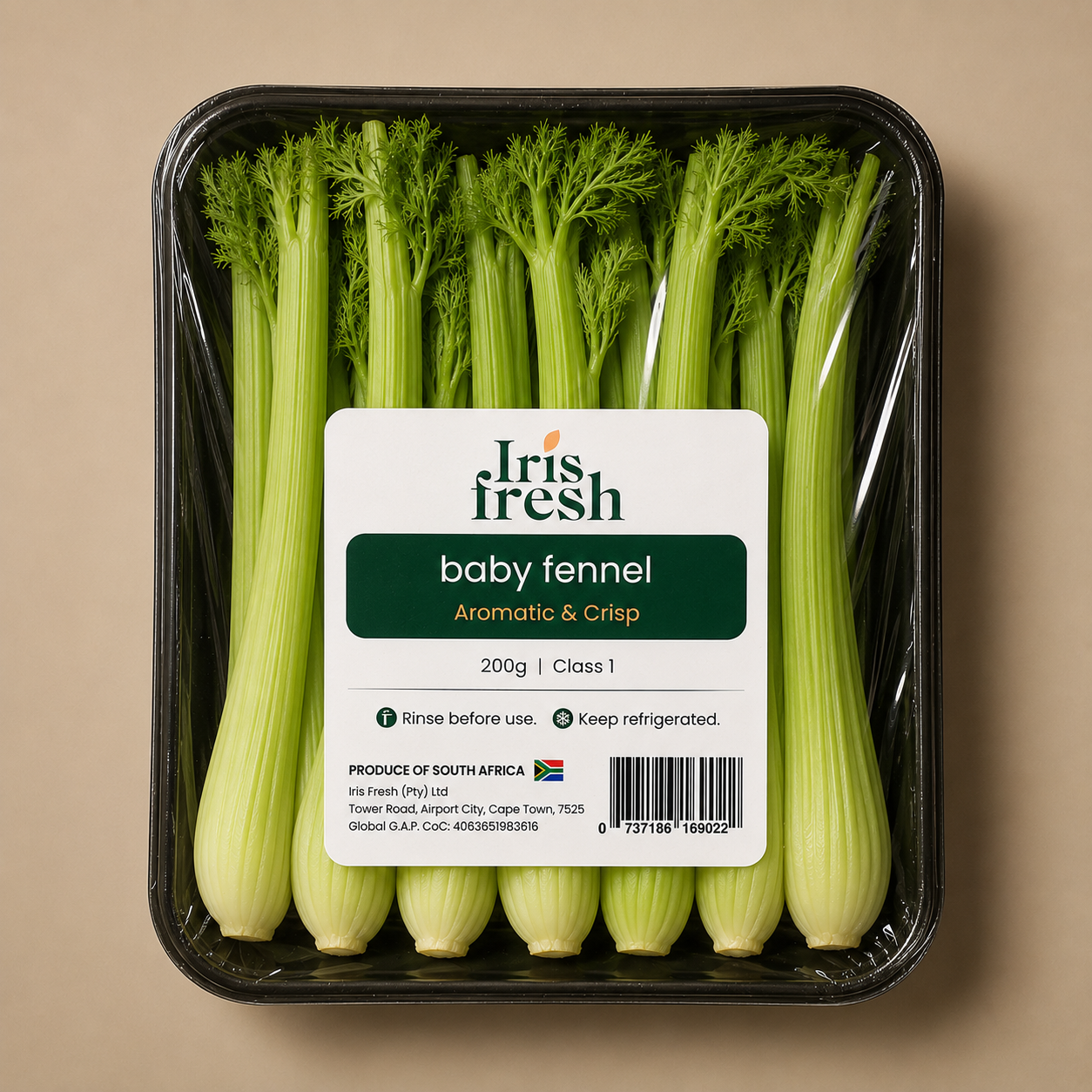 South Africa Baby Fennel