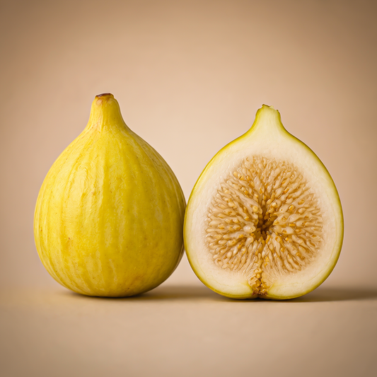 Yellow Fig|تين برشومي أصفر