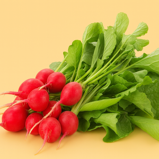 Radish|فـجل (1PC)