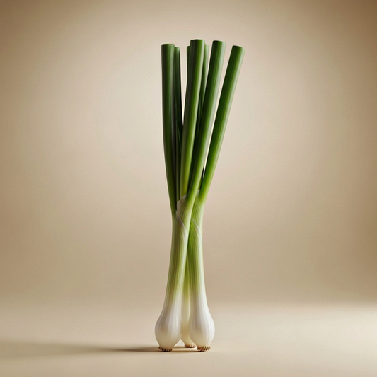 Green Onion|بصـل اخـضر (Pack)