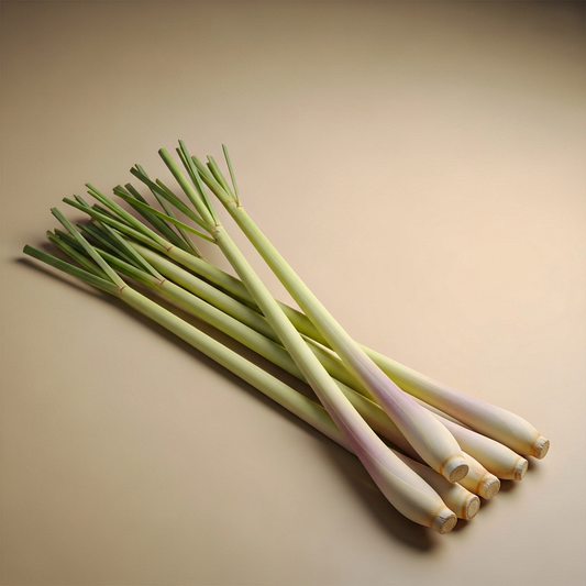Lemon Grass|حشيشة الليمون (Pack)
